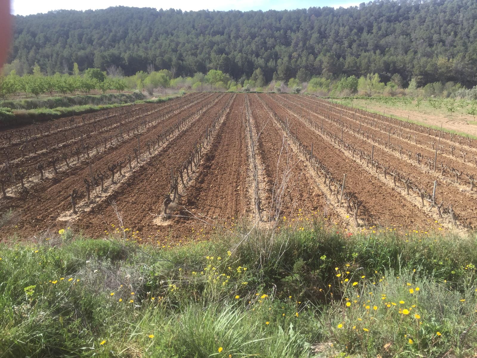 bancal bancal